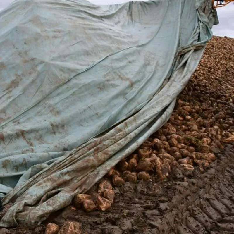 Bâche recyclable pour récolte des pommes de terre et betteraves TOPTEX