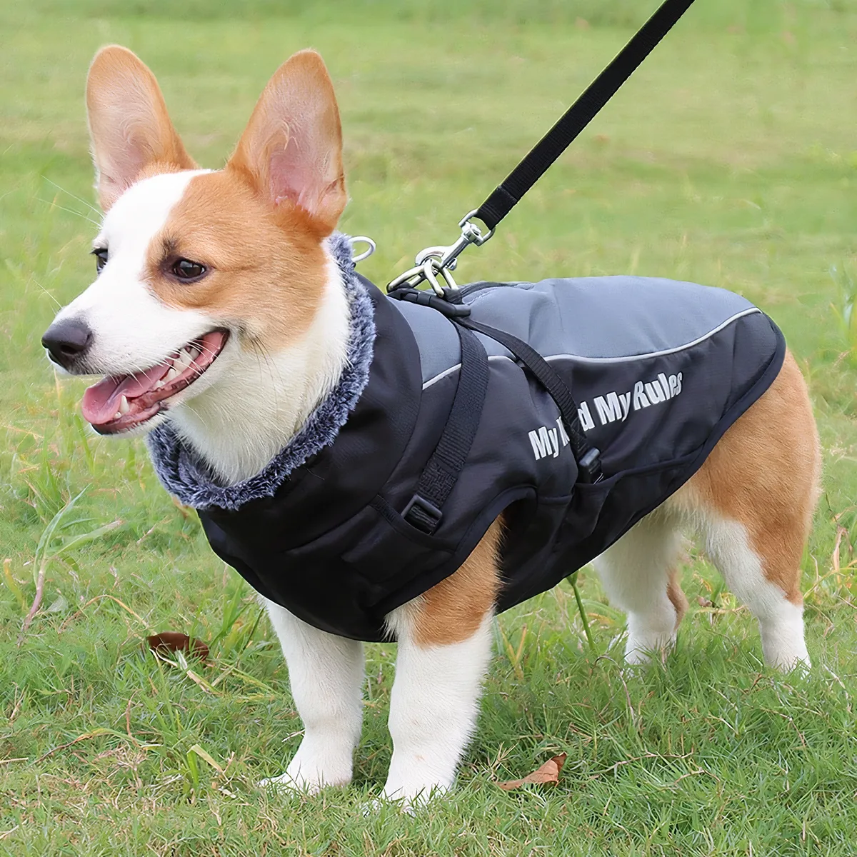 Doudoune hiver grise avec harnais pour moyens et grands chiens • 