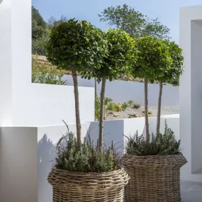 Planter basket hendrik